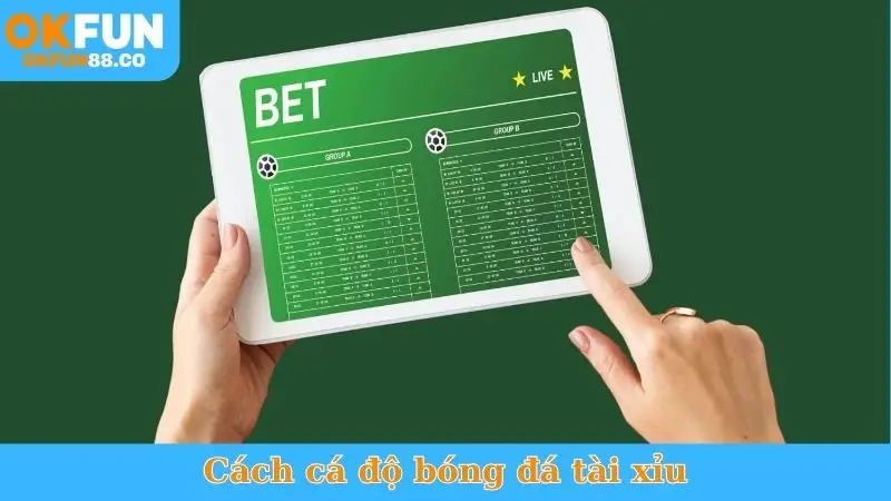 Cách Cá Độ Bóng Đá Tài Xỉu