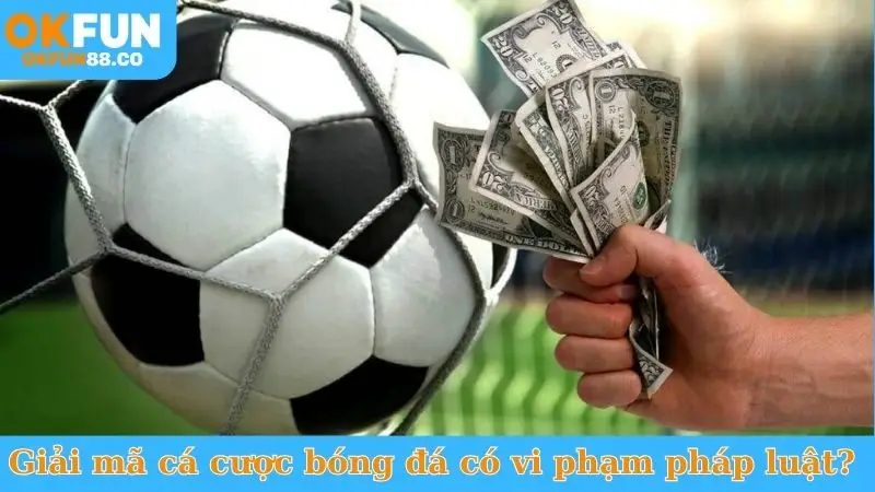 Giải mã cá cược bóng đá có vi phạm pháp luật không?